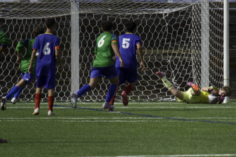 U15 D1 : NOS PHOENIX S'INCLINENT MALGRÉ UNE BONNE PRESTATION !