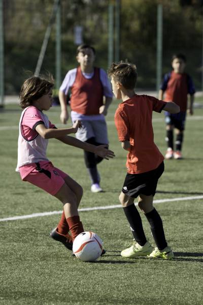 FIN DU STAGE DE LA TOUSSAINT !