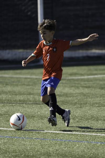 FIN DU STAGE DE LA TOUSSAINT !