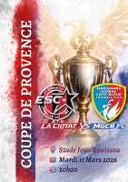 LES PHOENIX VEULENT REBONDIR EN COUPE DE PROVENCE !